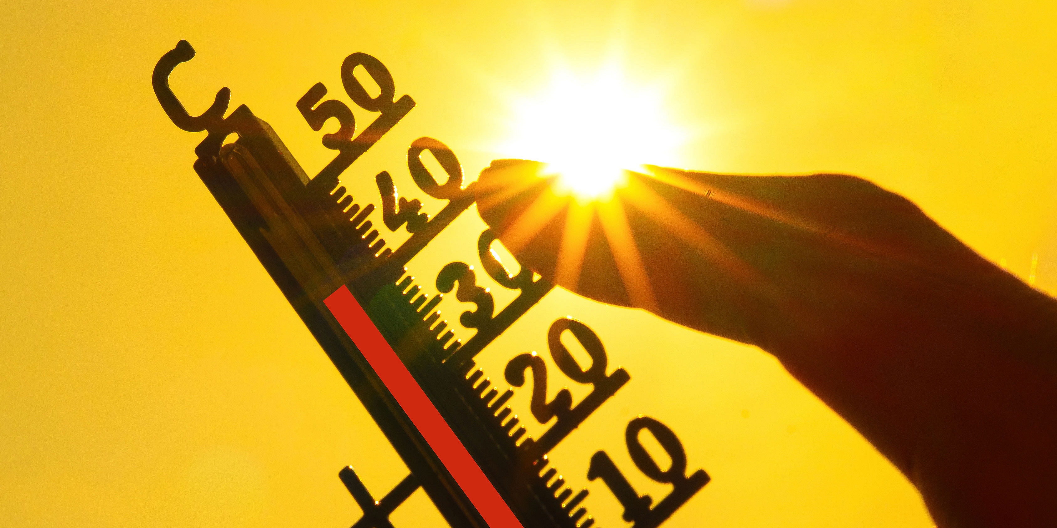 Eine Hand hält ein klassisches Thermometer, das +40 Grad Celsius anzeigt, gegen die Sonne.