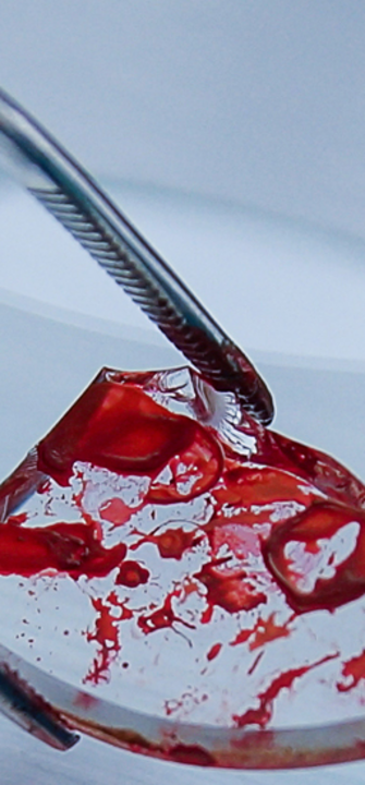 Gerichtsmedizin - mario beauregard/AdobeStock