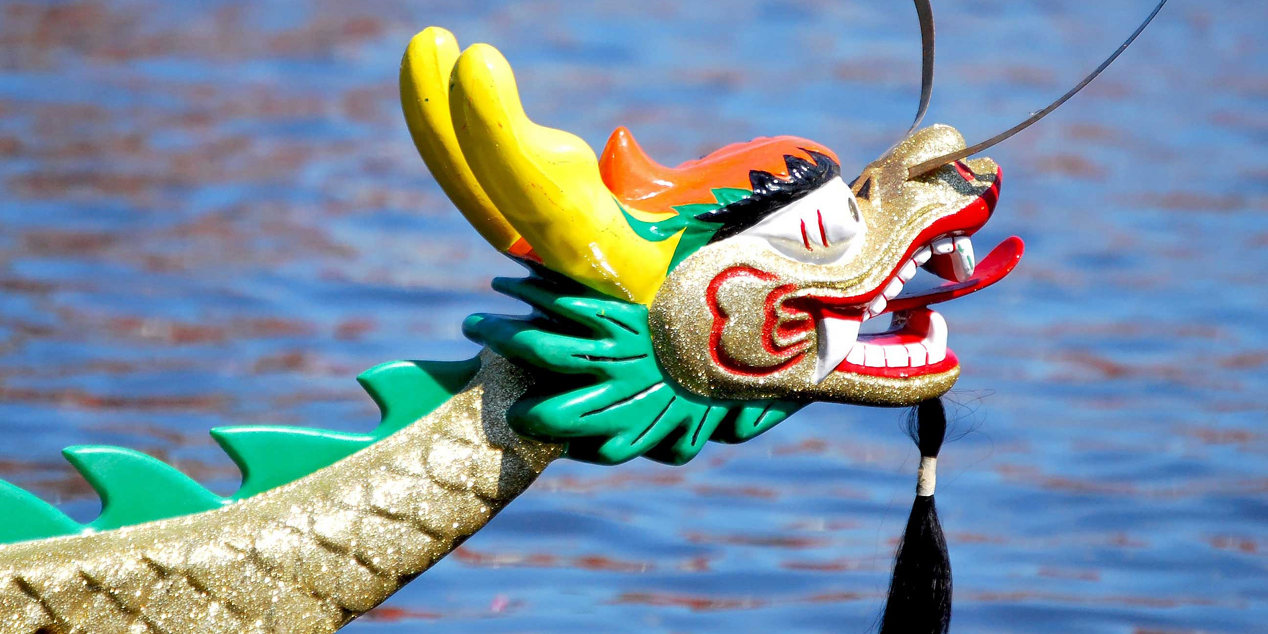 Drachenboot Cup - Credit: otmar smit-AdobeStock.com