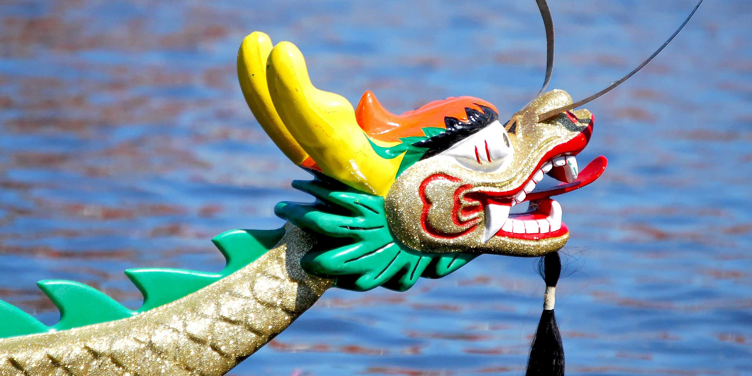 Dragon Boat Cup – Credit: Otmar Smit – AdobeStock.com