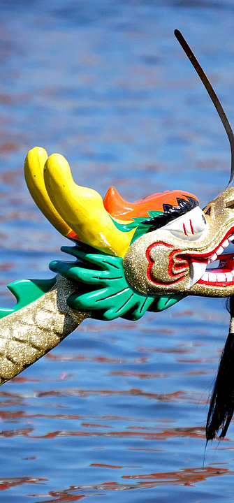 Dragon Boat Cup – Credit: Otmar Smit – AdobeStock.com