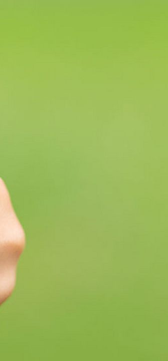 Blume - Credit: hakase420/AdobeStock