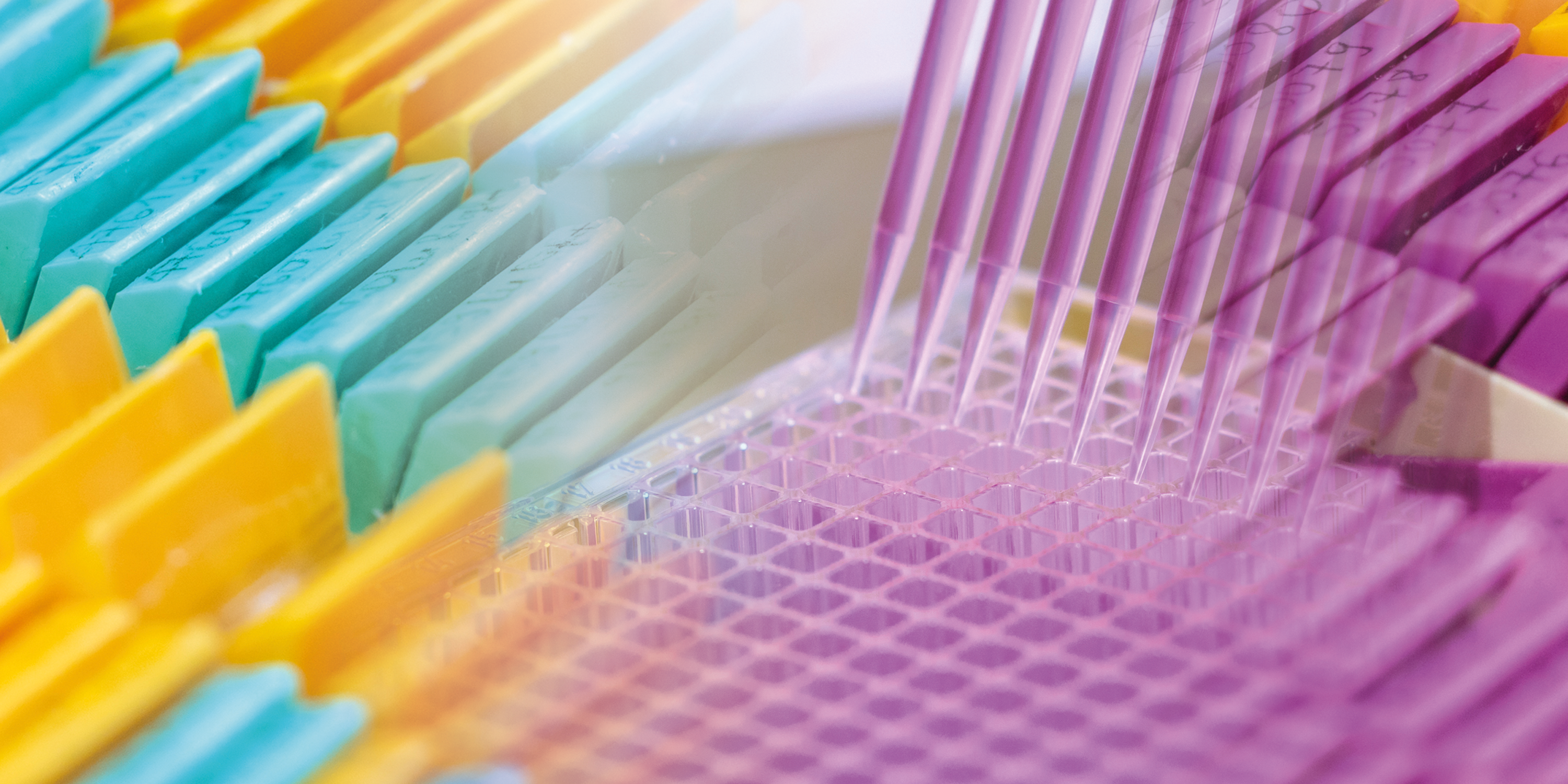 CD-Labor für Lipid-Emulsionen als Paradigmenwechsel in der Chemotherapie