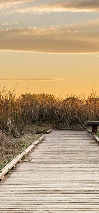 Steg im Sonnenuntergang - adobe.stock.com