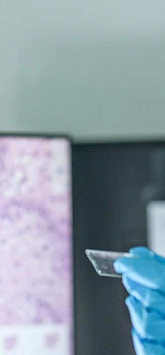 XAI Summer School 2025 - Foto: ultramansk/AdobeStock.com