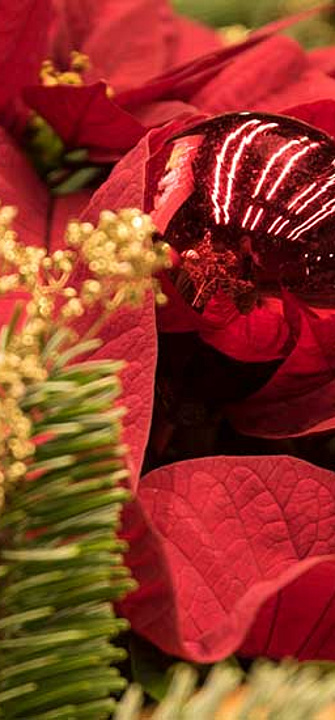 Weihnachten/Bernhard Bergmann