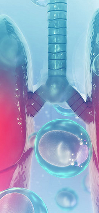 Lunge - Credit: CrystalLight/AdobeStock