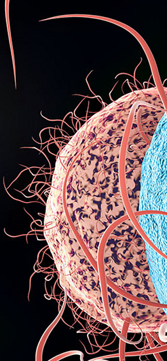 Elektronenmikroskopaufnahme - Giovanni Cancemi/AdobeStock