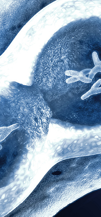 21. März-Welt Downsyndrom Tag/Foto:Christoph Burgstedt/AdobeStock.com