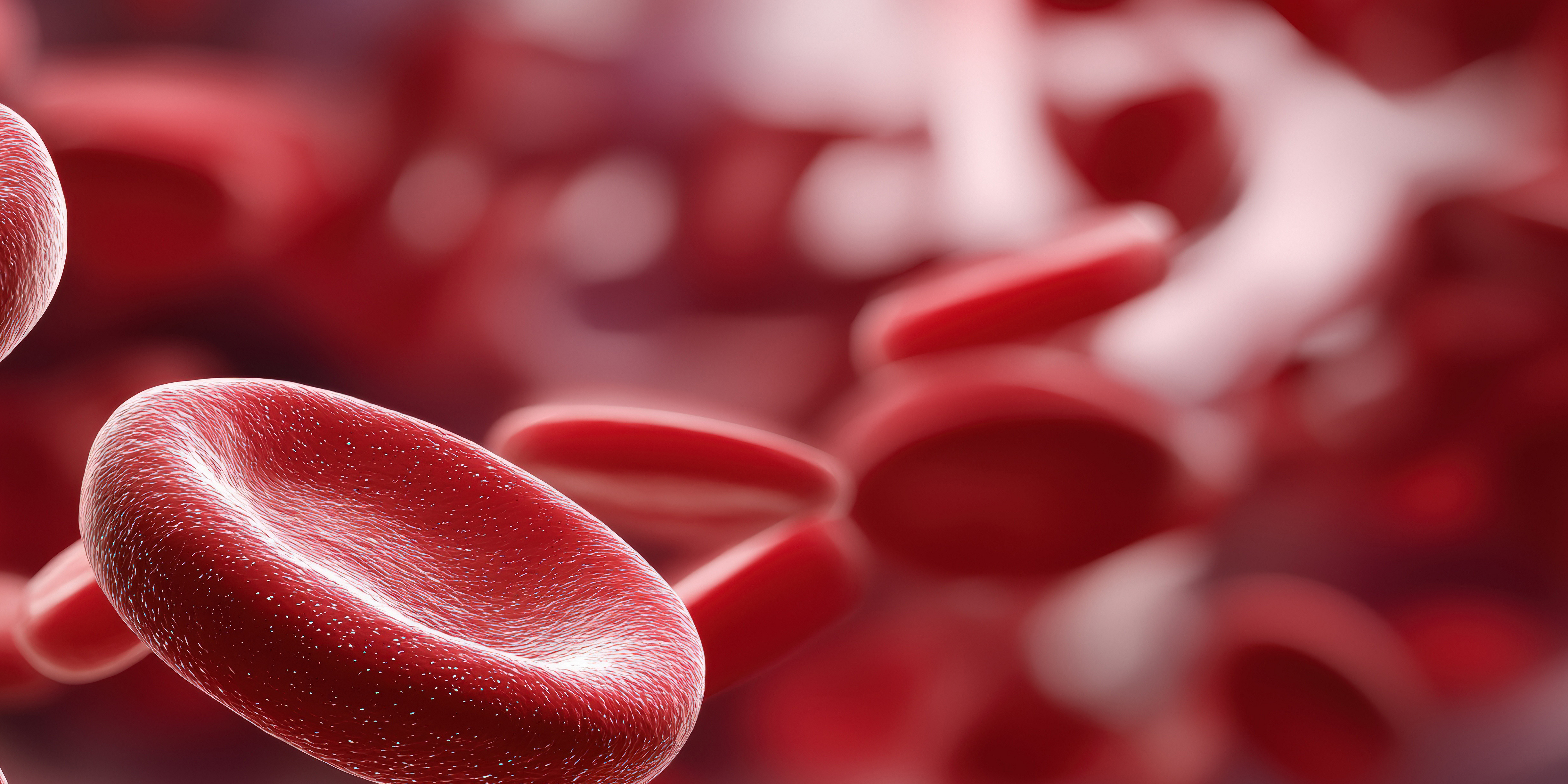 Rote Blutkörperchen in einer Blutprobe