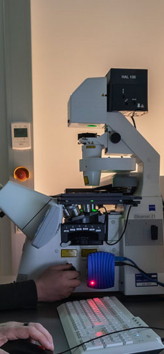 Histologie - Med Uni Graz/Lunghammer