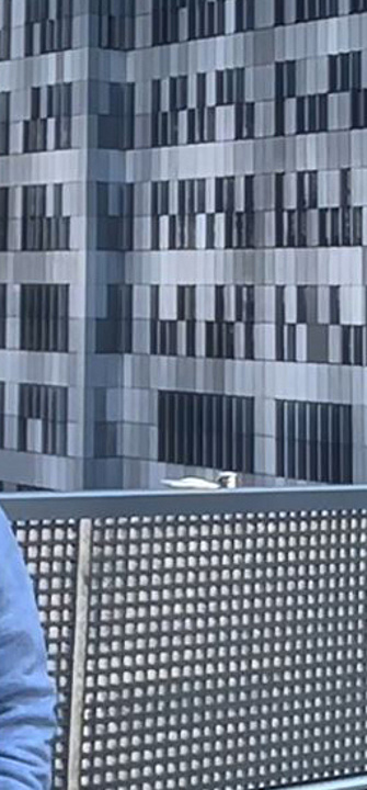 Interview mit PhD Studentin Alankrita Rani