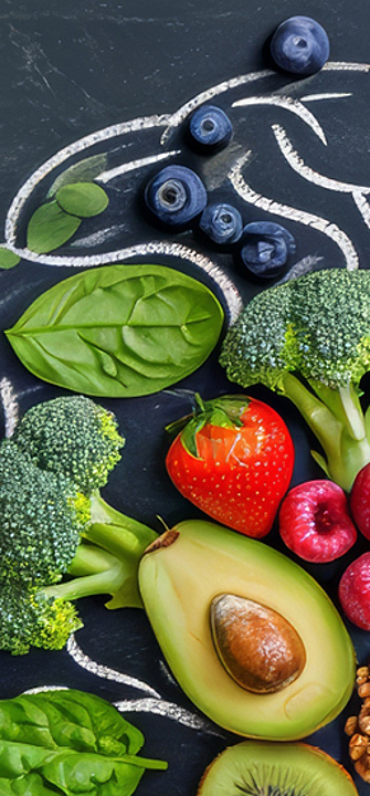 Wie Kopf und Darm zusammen arbeiten - Foto: YuDwi Studio/AdobeStock.com