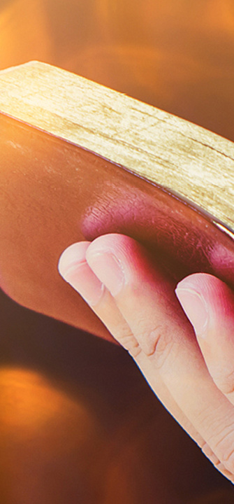 Lesetipp/isara/AdobeStock.com