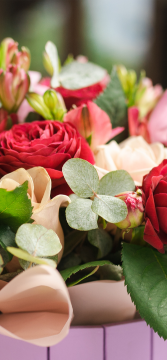 Herzlichen Glückwunsch Foto: Ann/AdobeStock.com