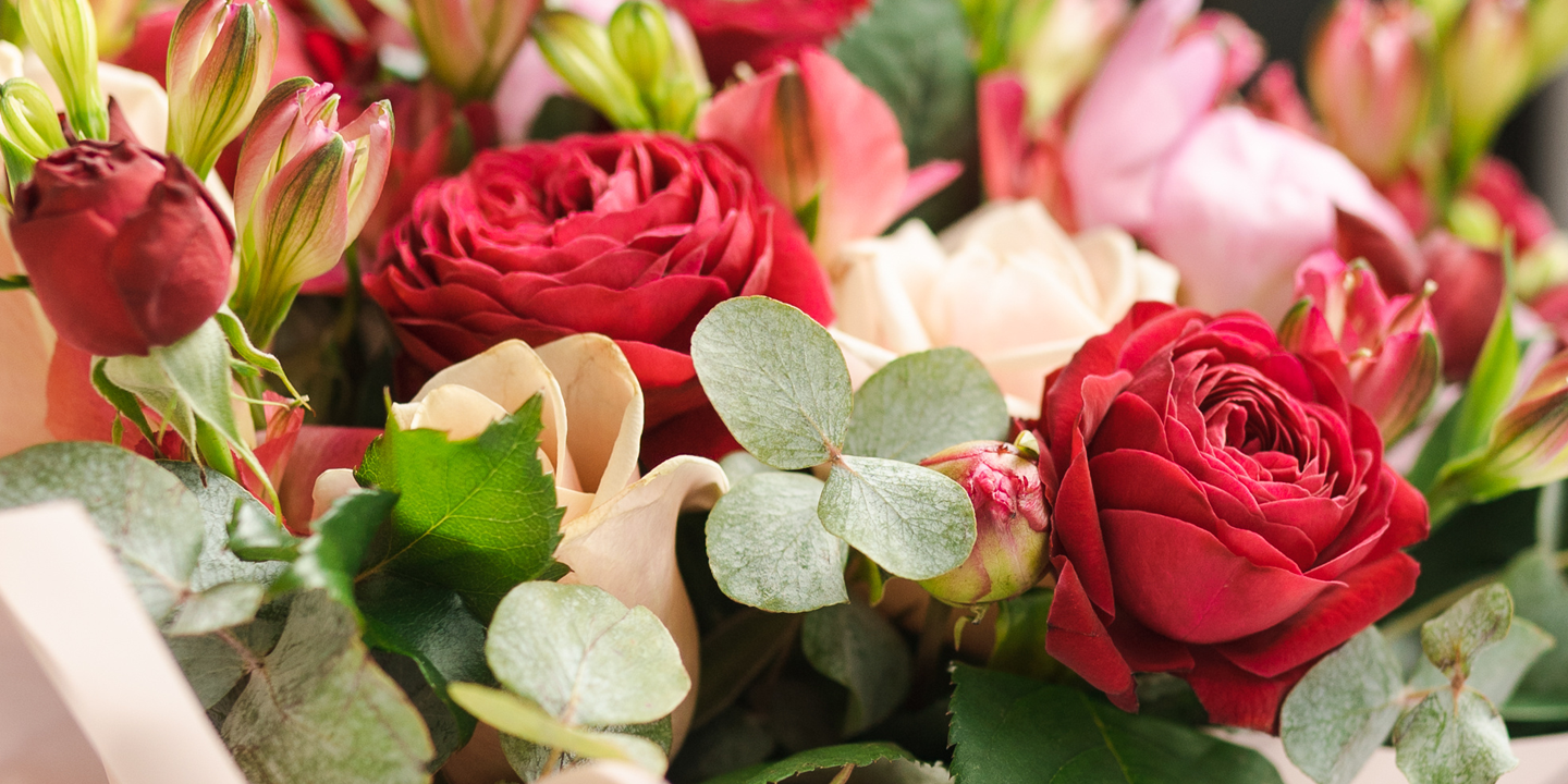 Herzlichen Glückwunsch Foto: Ann/AdobeStock.com