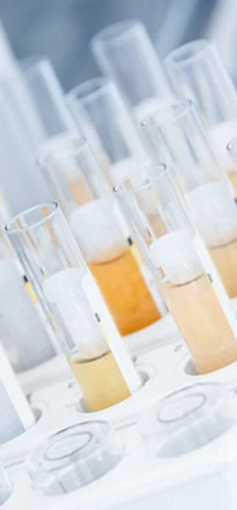 Schüler*innen zu Besuch am Zentrum für Biomedizinische Forschung