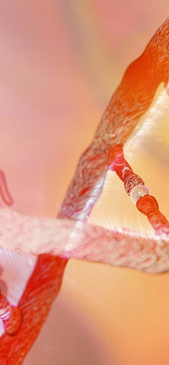 Krebszelle - Catalin/AdobeStock.com