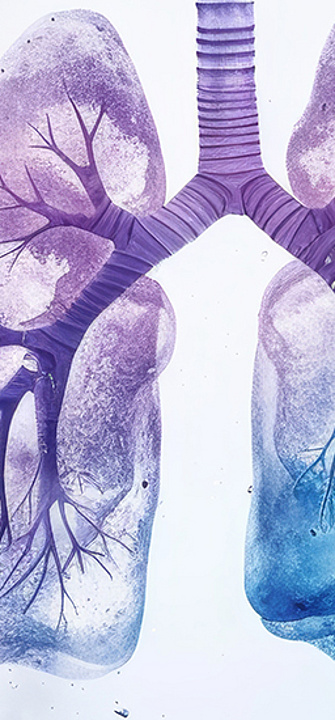 Lunge - Vladislav/adobe.stock.com