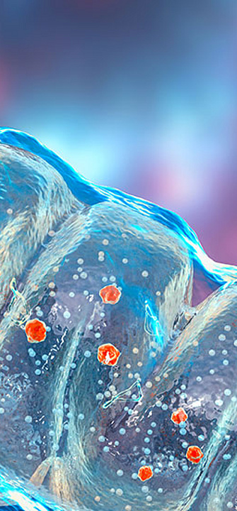 Mitochondrium - Credit: AdobeStock/Dr_Microbe