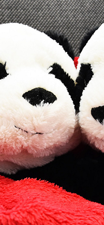 Weltkuscheltag - Med Uni Graz