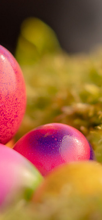 Wieviel Ei ist gesund? Foto:sas/AdobeStock.com