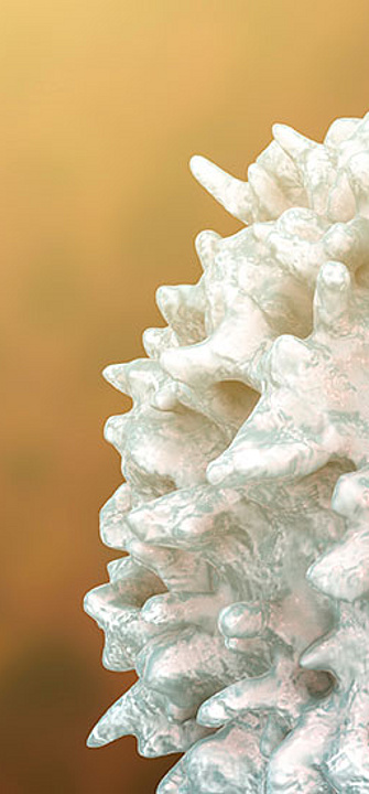 Immunzellen - AdobeStock/Kateryna_Kon