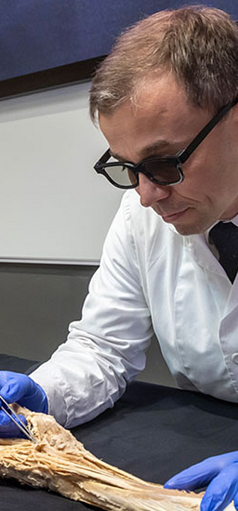 Virtuelle Anatomie - Credit: Helmut Lunghammer