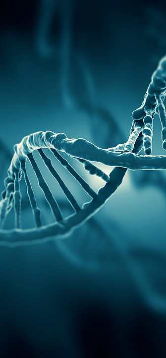 Ein computergeneriertes Modell eines DNA-Stranges