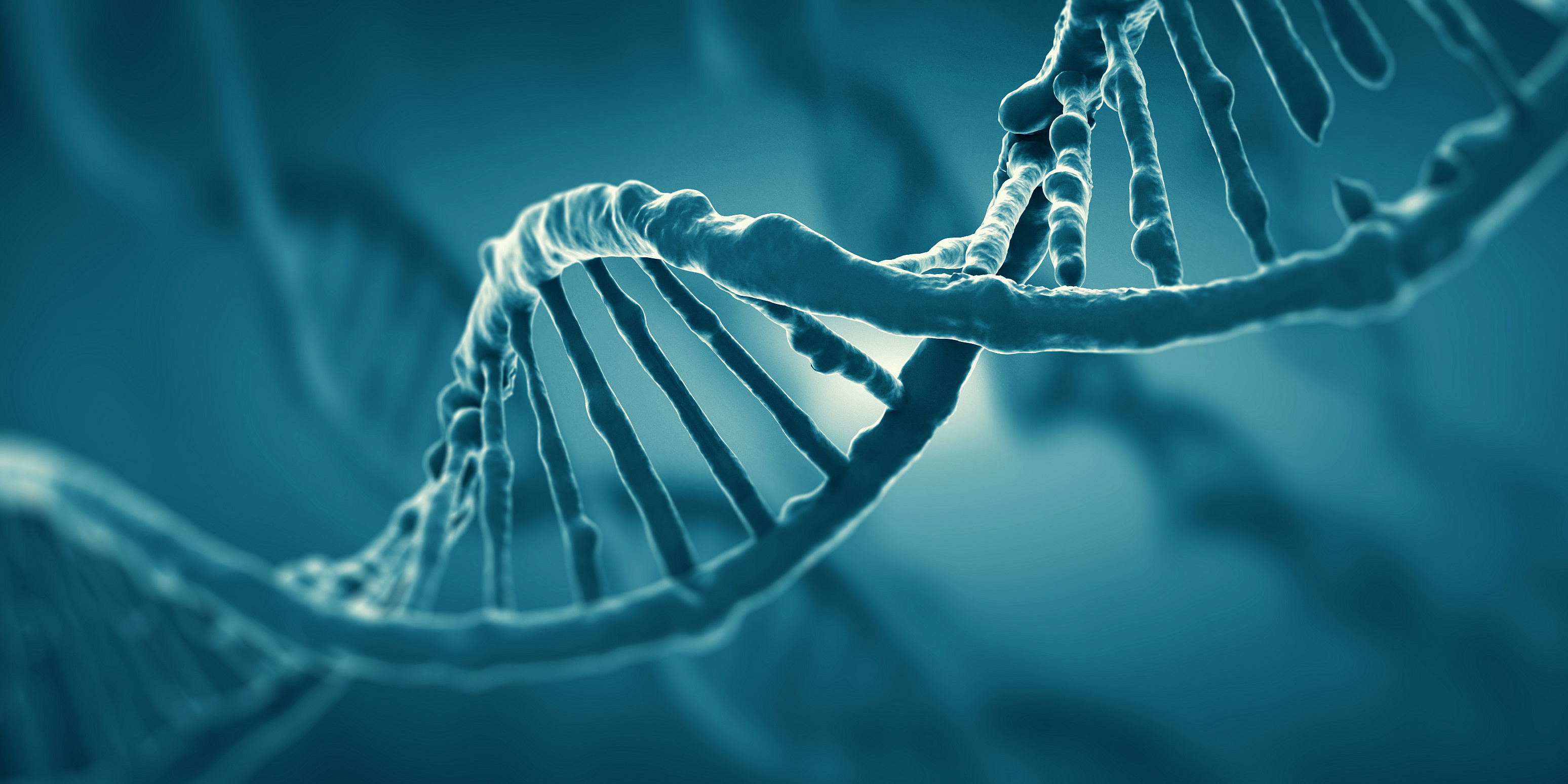 Ein computergeneriertes Modell eines DNA-Stranges