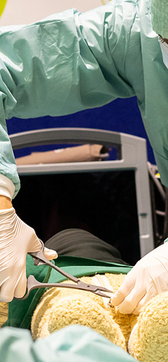 Kuscheltierkrankenhaus 2025 - Foto: Med Uni Graz/Monika Wittmann Photography