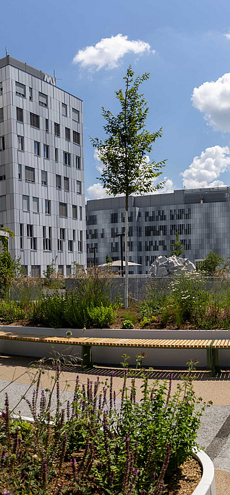 Campus der Med Uni Graz