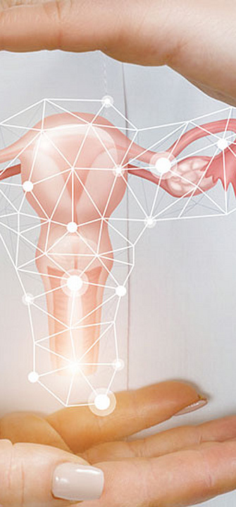 Gynäkologie - AdobeStock/natali_mis