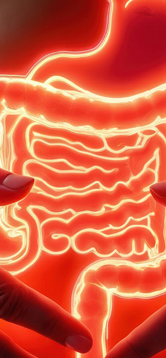 Das Darmmikribiom spielt eine zentrale Rolle beim Abnehmen - Foto: maryna/AdobeStock.com