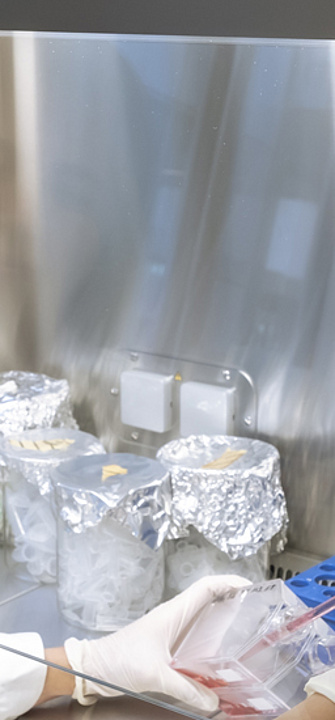 Auszeichnung für PhD-Studien. Credit: Med Uni Graz