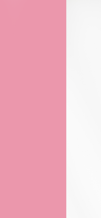 Rosa Wecker liegt auf einem Teller