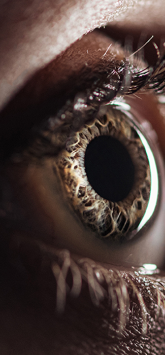 Auge - Credit: LIGHTFIELD STUDIOS/AdobeStock