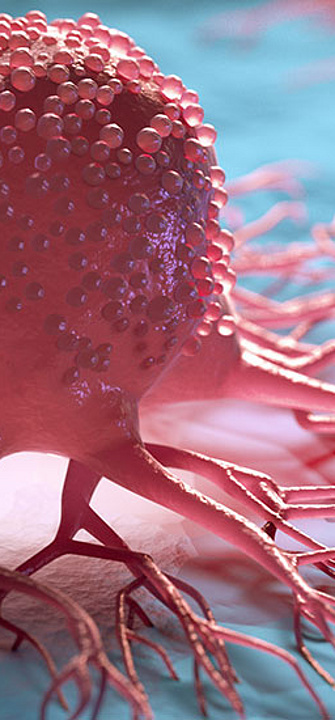 Krebs - Credit: AdobeStock/peterschreiber.media