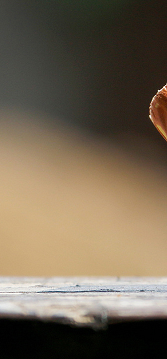 Ausgedrueckte Zigarette - jetsadaphoto/adobe.stock.com