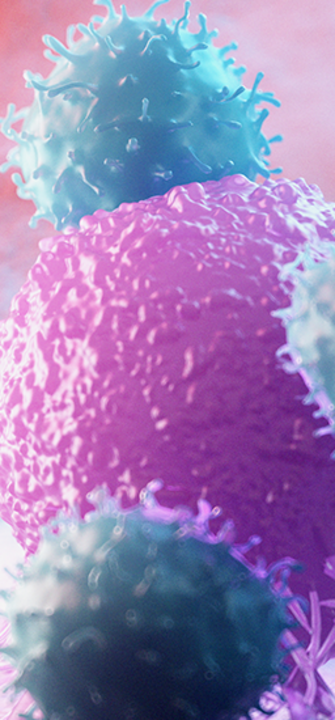 Krebszellen - SciePro/adobe.stock.com