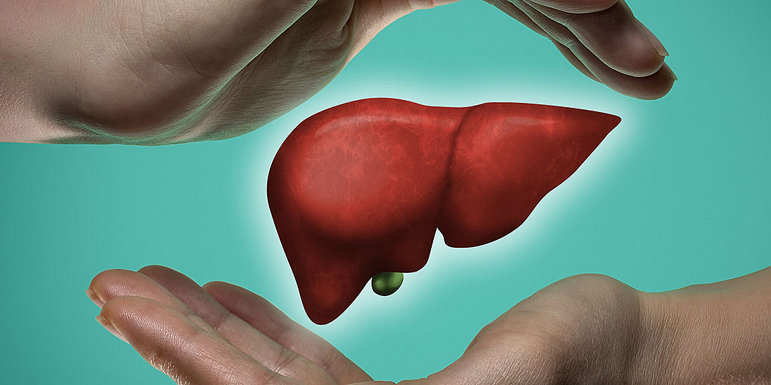 Leber - AdobeStoke/svetazi
