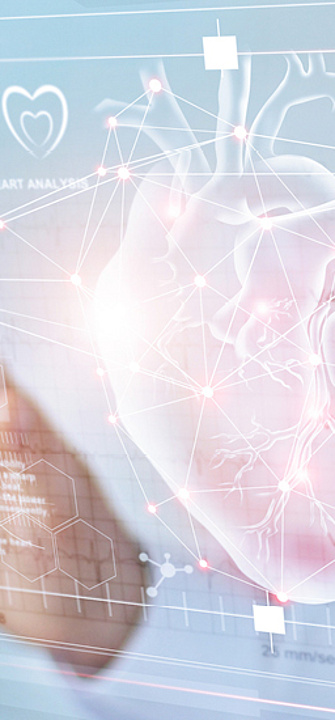 Herzlichen Glückwunsch an Mara Kiessling/Illustration: ipopba - AdobeStock.com