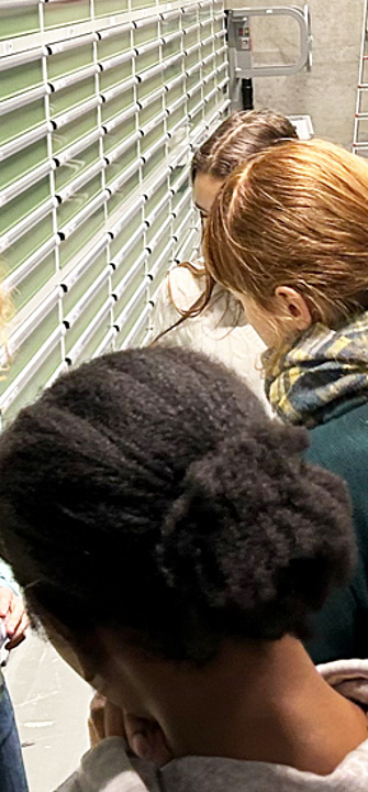 DigiPath-Krebskampf: Medizin trifft Schule