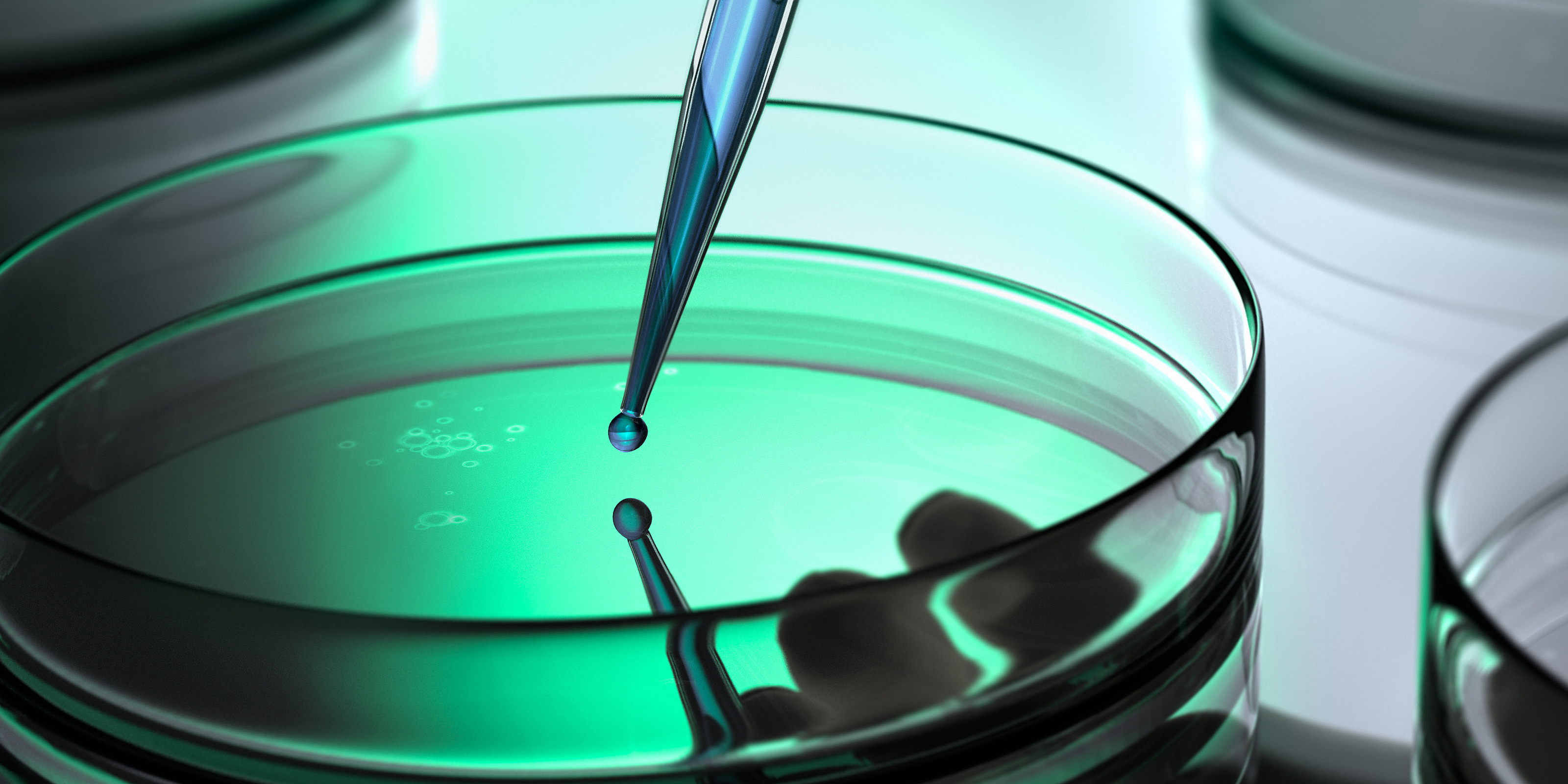 Petrischale und Pipette