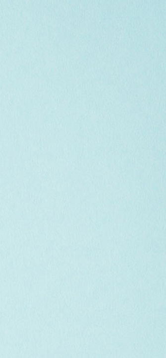 Movember - ActionGP/AdobeStock