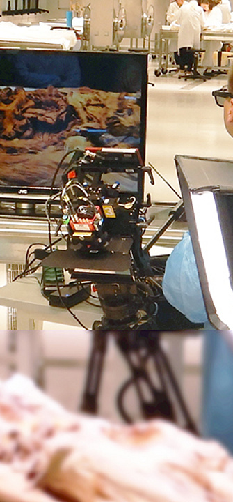 3D Technologie in der Anatomielehre an der Med Uni Graz