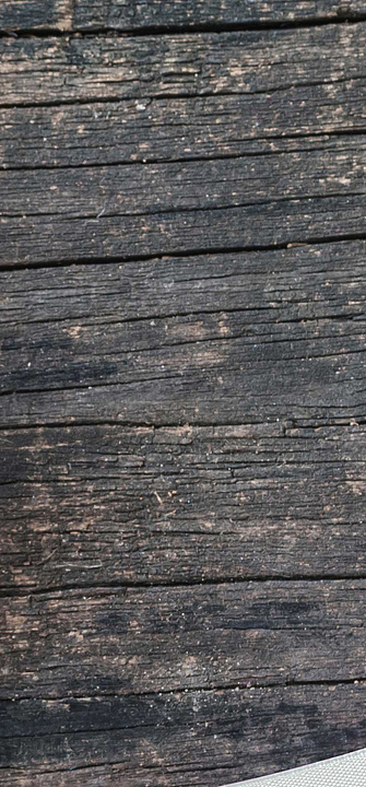 Zervixkrebs - Chinnapong/AdobeStock