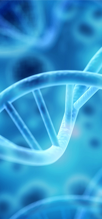 Zellen unter dem menschlichen DNA-System