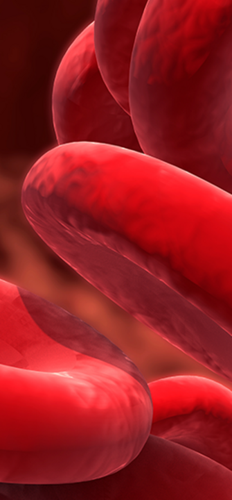 Blutkoerperchen - Design Cells/adobe.stock.com