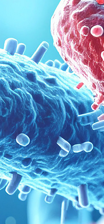 Archaeen als Schlüsselakteure für Gesundheit und personalisierte Medizin - Foto:hardvicore/AdobeStock.com